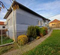 A family house in Dlhá Ves, a garden with shrubs, paving leading to the entrance.