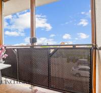 A balcony of a 3-room apartment with a view of the roofs and sky, flowers in a flowerpot.