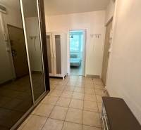 Entrance hallway with tiles in a 3-room apartment, wardrobe, and shoe cabinet.