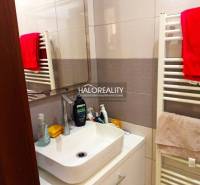 A bathroom in a 3-room apartment with a mirror, sink, and ladder radiator.
