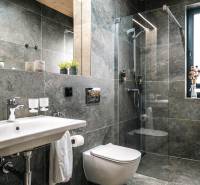 A bathroom in a 2-room apartment with a clear shower and gray tiles, decorated with greenery.