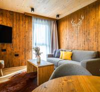 Living room with wooden walls, gray sofa, and wood-patterned flooring in a two-room apartment.