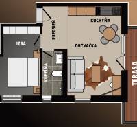 Floor plan of a 2-room apartment with a kitchen, living room, bathroom, bedroom, and terrace.