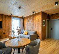 Living room in a 2-room apartment with a wood-patterned floor and wooden paneling.