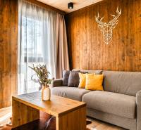 Living room in a two-room apartment with a wooden decor floor and wall decoration.