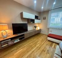 Living room in a studio apartment with a TV stand and wood-patterned flooring.