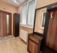 Hallway of a one-room apartment with a wooden decor floor and furniture against the wall.