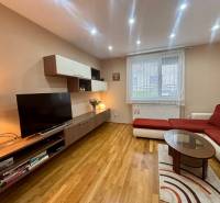 Living room in a one-room apartment with a TV, sofa, and wood-patterned flooring.