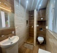 Bathroom with a sink, toilet, and shower enclosure, floor with wood decor.