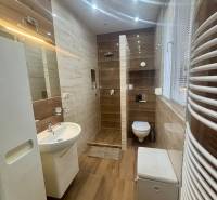 Bathroom with wood-patterned flooring, shower, and sink in a studio apartment.