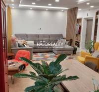 Living room in a 3-room apartment with seating, flowers, and a wooden decor floor.