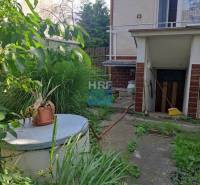 The garden of a family house on Vieska in Radošovce with a shelter and lush vegetation.