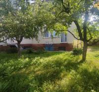 The garden at the family house on Vieska Street in Radošovce. Green grass and trees.