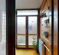 A hallway in a family house with wooden decor, glass doors, and a houseplant.