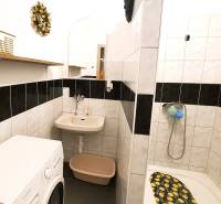 Bathroom with a washing machine, shower, and sink in a 2-room apartment.