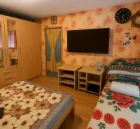 A bedroom with floral wallpaper, a wardrobe, a bed, and a wooden decor floor in a two-room apartment.