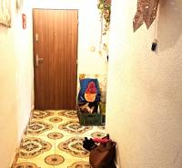 A hallway in a 2-room apartment with decorative tiles and doors with a wood decor.