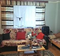 Living room in a two-room apartment with patterned sofas and a wooden decor floor.
