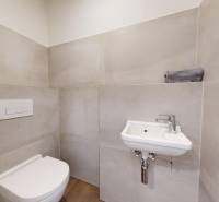 Bathroom with toilet and sink in a 2-room apartment, minimalist design.