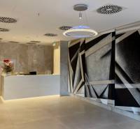 Reception of the building with artistic decoration, flower, and designer lighting.