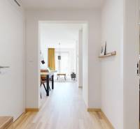 Hallway of a 2-room apartment with a wooden decor floor and a bathroom mirror.