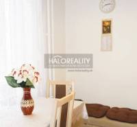 Dining area with a table, a plant, and chairs in a 3-room apartment, floor with wood decor.