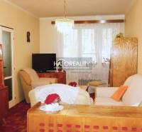 Living room in a 3-room apartment, floor with wood decor, wooden furniture, cozy armchairs.