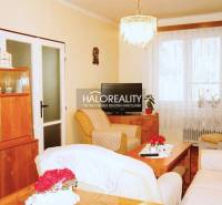 Living room with furniture and decorations in a 3-room apartment, floor with wood decor.