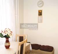 Dining area in a 3-room apartment with a flower on the table and a white curtain.
