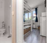 Studio apartment with a loft bed, toilet, and wooden decor flooring in a light interior.