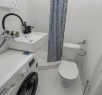 A bathroom in a studio apartment with a washing machine, sink, and toilet.