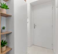 Cozy studio apartment with a white hallway, shelves, and a plant on a floor with a wooden decor.