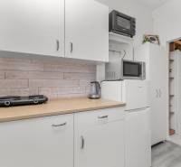 The kitchen unit in the studio apartment includes a microwave, a cooktop, and a refrigerator with a wooden decor.