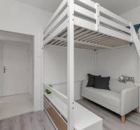 Studio apartment with a loft bed, sofa, and wood-patterned flooring.