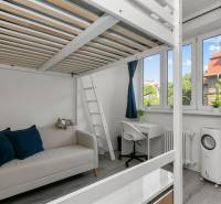 Studio apartment with a loft bed, workspace, and sofa, wooden decor flooring.