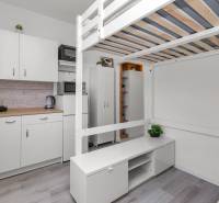 A studio apartment with a loft bed, a kitchenette, and a floor with a wood design.