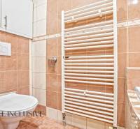 A bathroom in a family house with beige tiles and a ladder radiator.