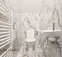A toilet and a sink in a family house lined with gray marble tiles.