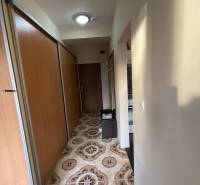 A narrow hallway in a one-room apartment with distinctive tiles and sliding wardrobes.