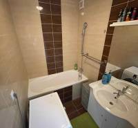 A bathroom in a studio apartment with a bathtub, washing machine, and sink, complemented by a shelf.