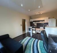 Interior of a 1-room apartment with a kitchenette and a wooden decor floor.
