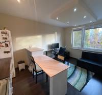 Kitchen corner in a studio apartment with a wood-patterned floor and a view of greenery.
