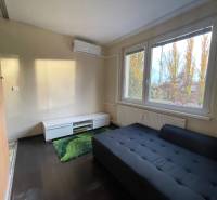 A room in a one-bedroom apartment with a couch, a green carpet, and a wood-patterned floor.