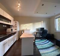 Spacious 1-room apartment with a kitchen and a workspace, floor with wood decor.