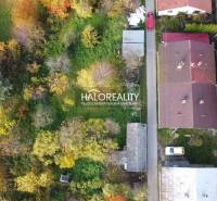 A family house in Sirk surrounded by greenery and colorful trees, aerial view.