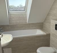 A bathroom in a 3-room apartment with a bathtub and a skylight, flooring with a wood decor.