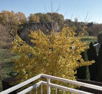 A balcony in a 3-room apartment in Tomášikovo with a view of the autumn landscape and a tree.