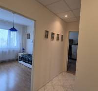 The hallway leading to the bedroom in a 3-room apartment with a wooden decor floor.
