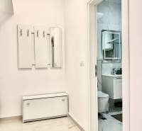 A hallway with coat racks and a mirror in a studio apartment, with a view of the bathroom facilities.