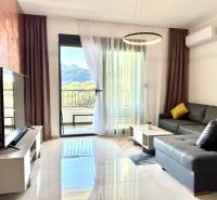 Living room in a studio apartment with a leather sofa, TV, and a view of the mountains.